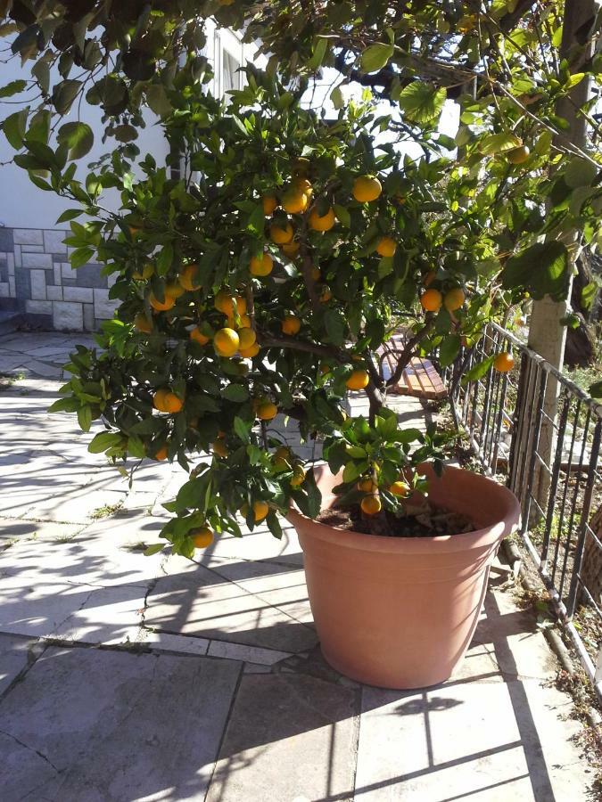 Apartma Bajci Ajdovščina Kültér fotó
