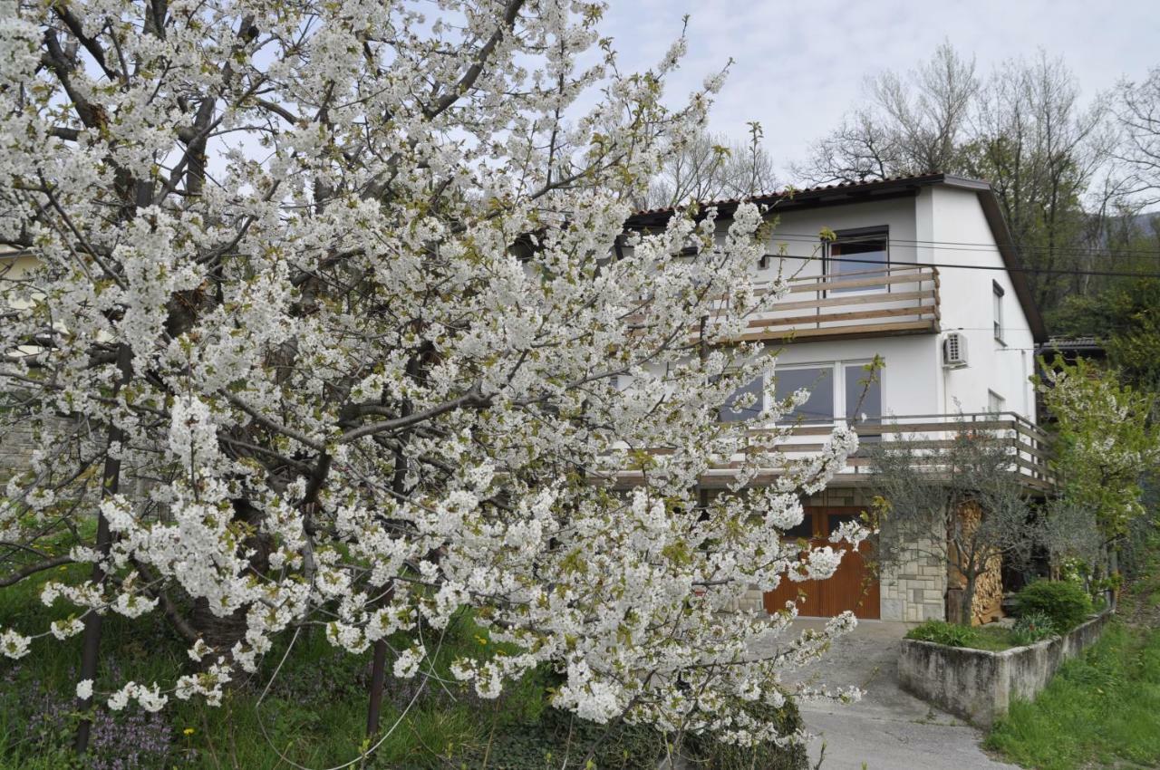 Apartma Bajci Ajdovščina Kültér fotó