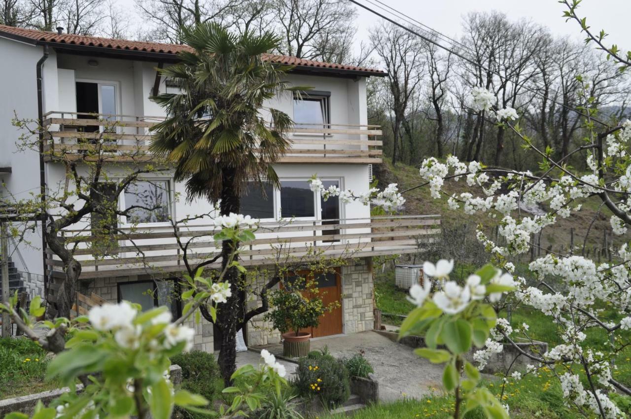 Apartma Bajci Ajdovščina Kültér fotó