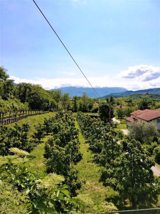 Apartma Bajci Ajdovščina Kültér fotó