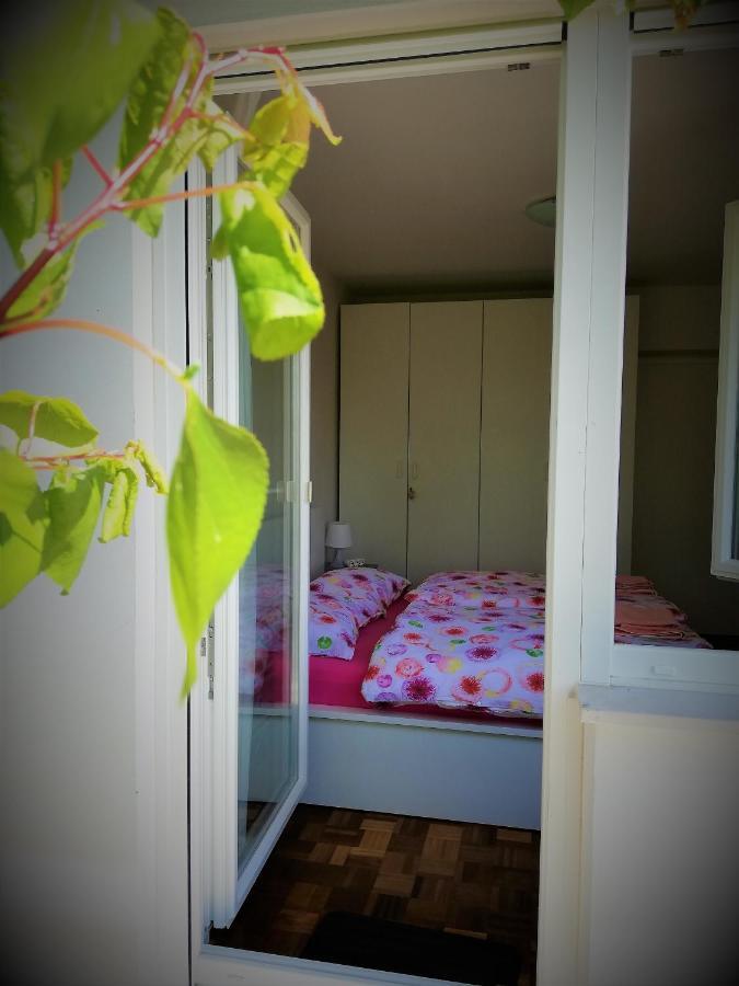 Apartma Bajci Ajdovščina Kültér fotó
